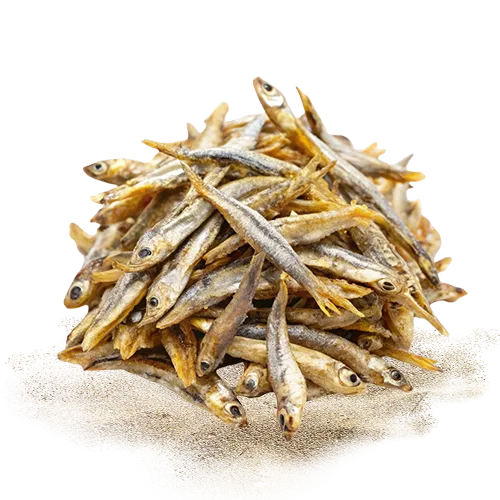 Sri Lankan Dry Fish – Sun-Dried & Hygienically Processed for Global Markets 2